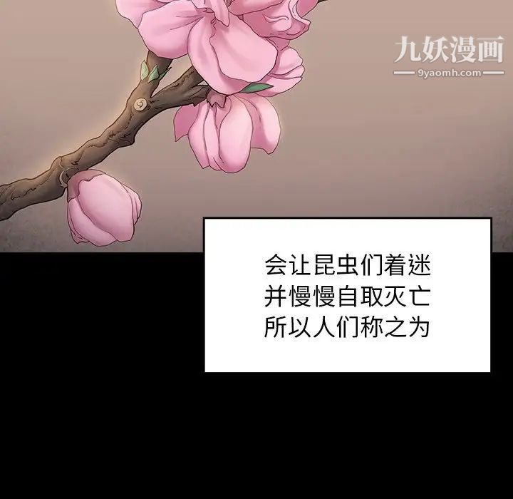 桃花第63话