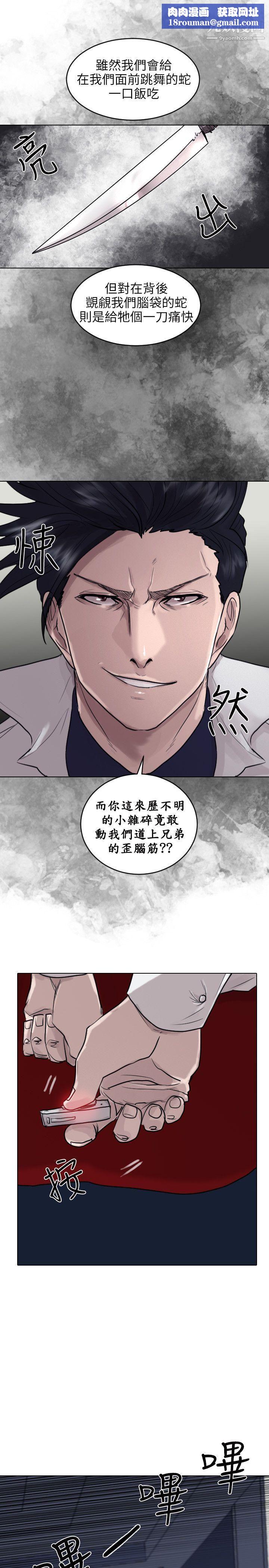 保镳第52话