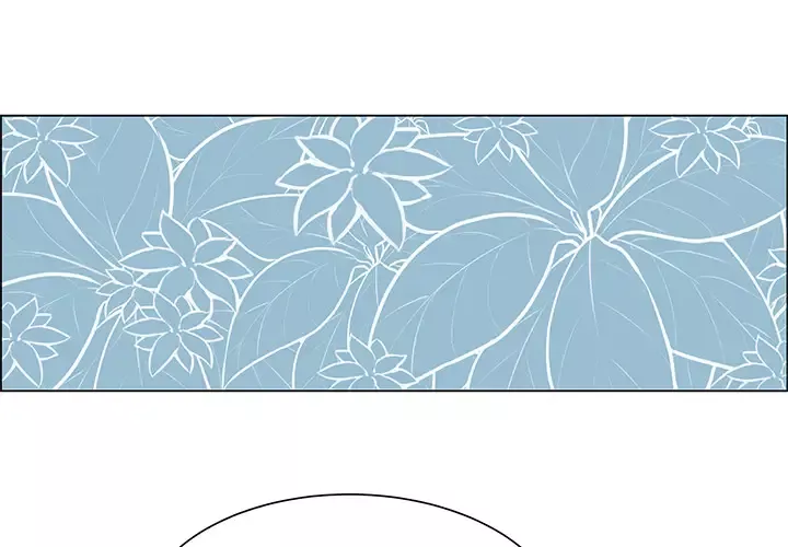 Settia第1话