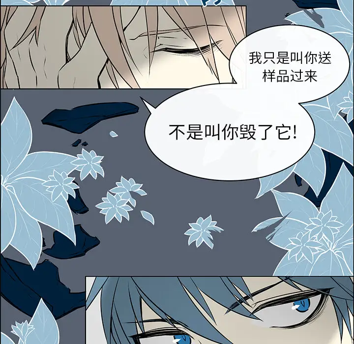 Settia第1话