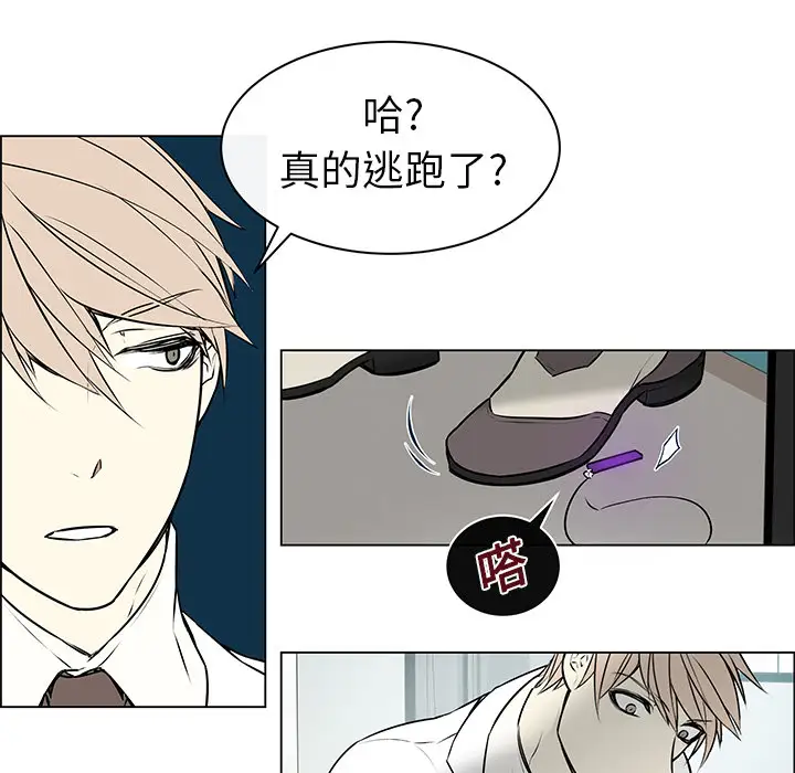 Settia第1话