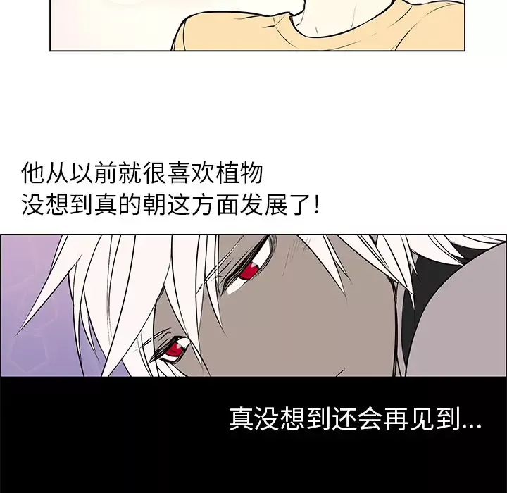Settia第2话