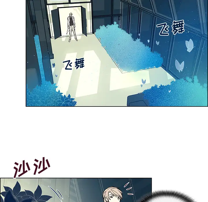 Settia第13话