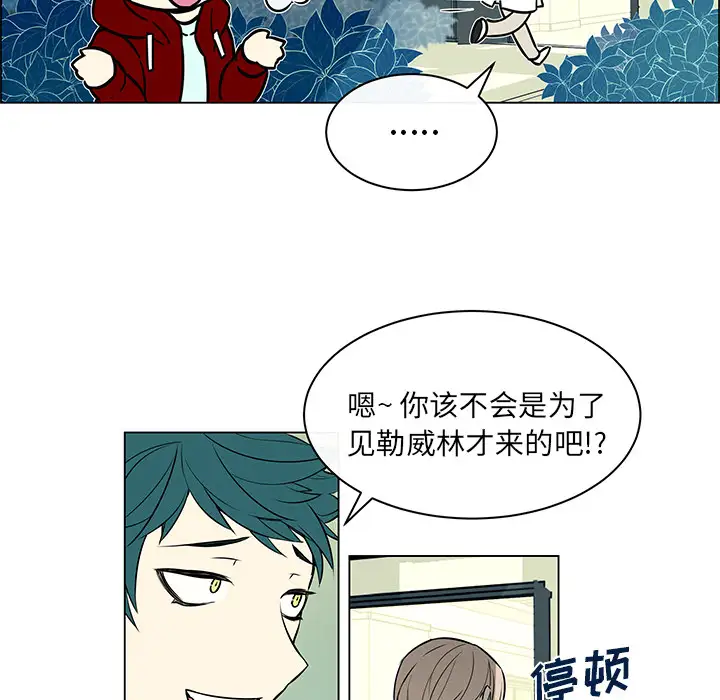 Settia第13话