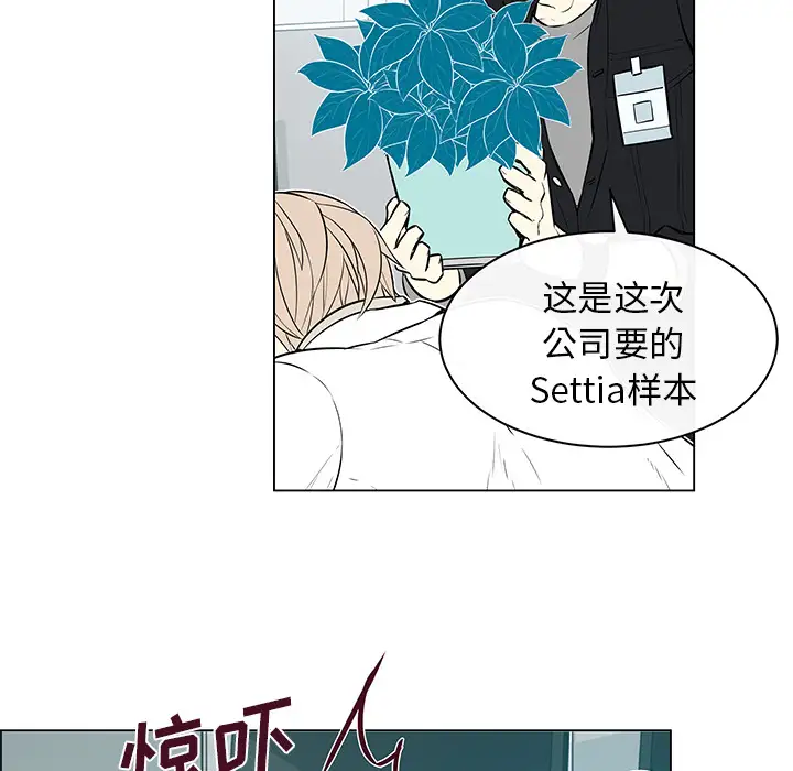 Settia第13话