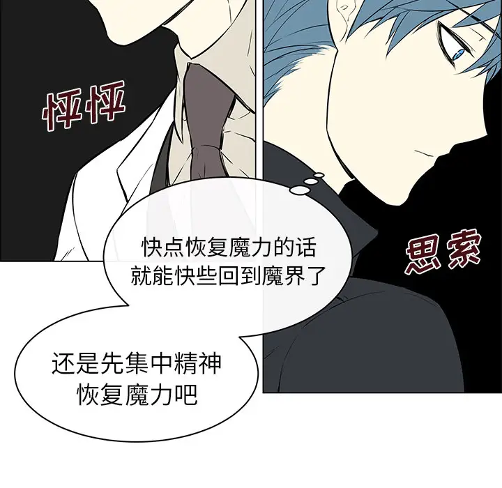 Settia第13话