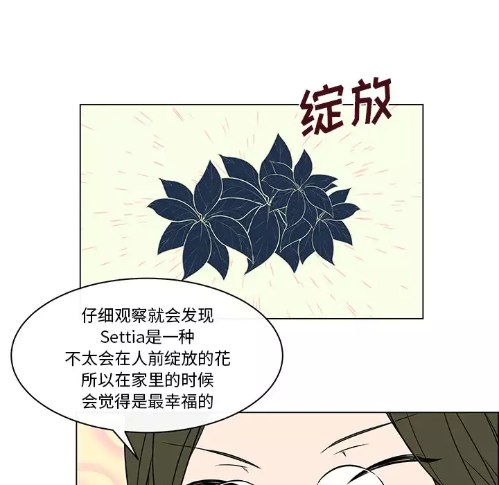 Settia第17话