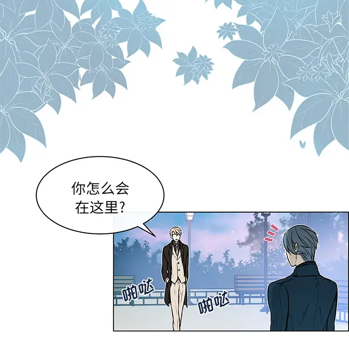 Settia第19话