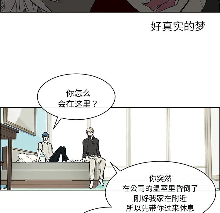 Settia第21话