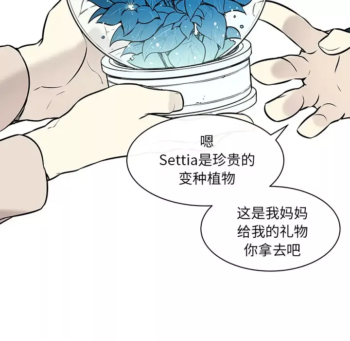Settia第22话