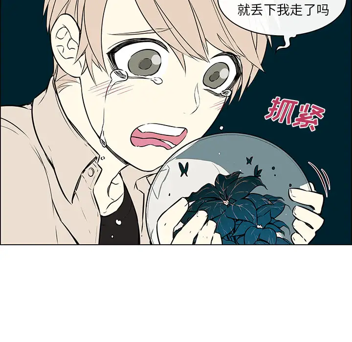 Settia第23话