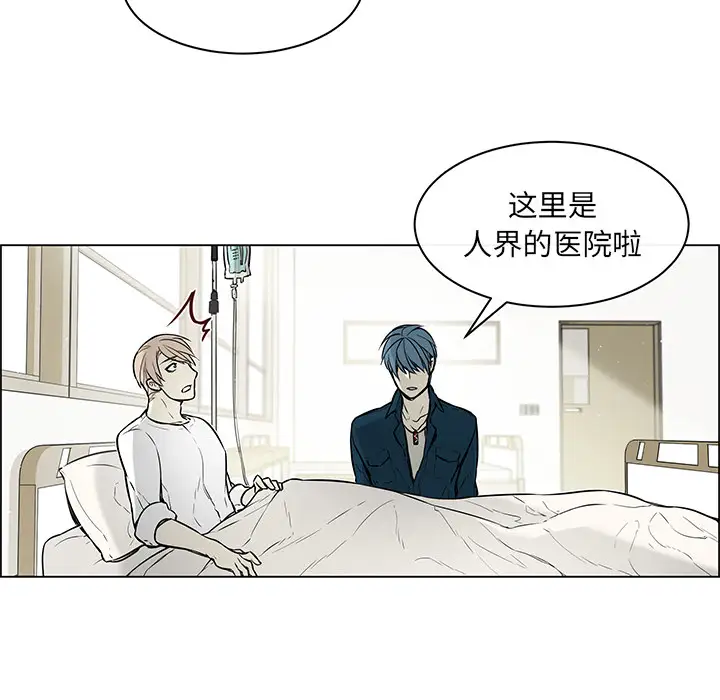 Settia第24话