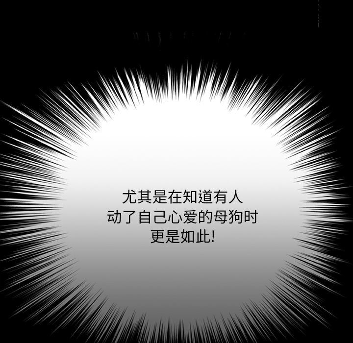 野狗第11话