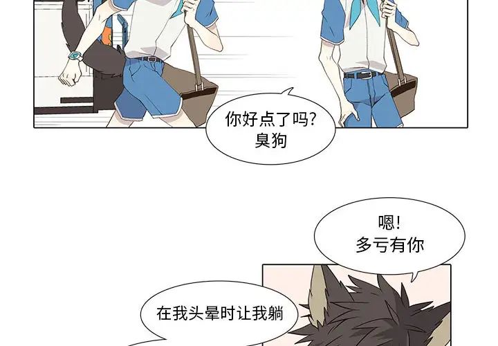 野性之城第22章