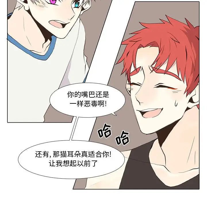 野性之城第24章