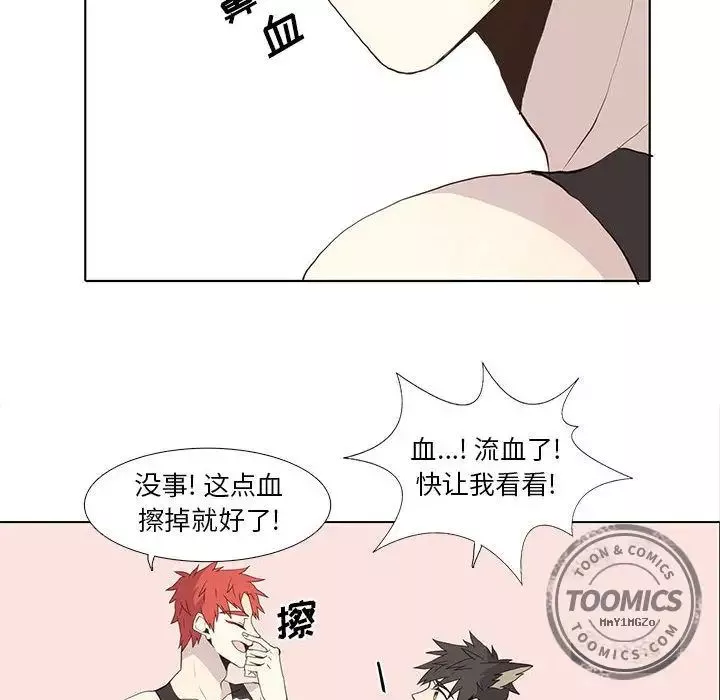 野性之城第25章
