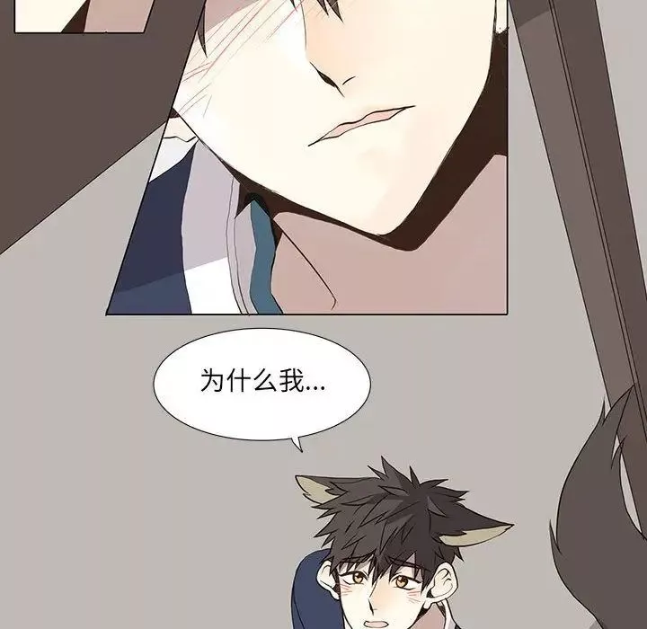 野性之城第28章