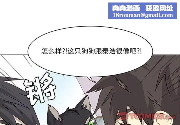 野性之城第36章