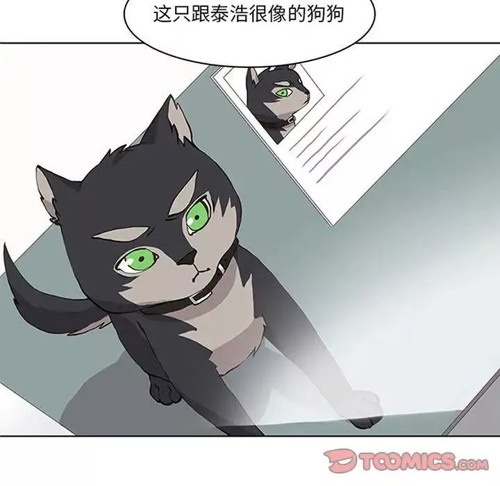 野性之城第36章