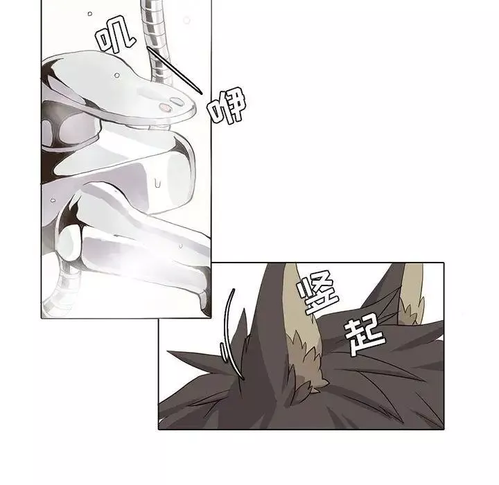 野性之城第38章