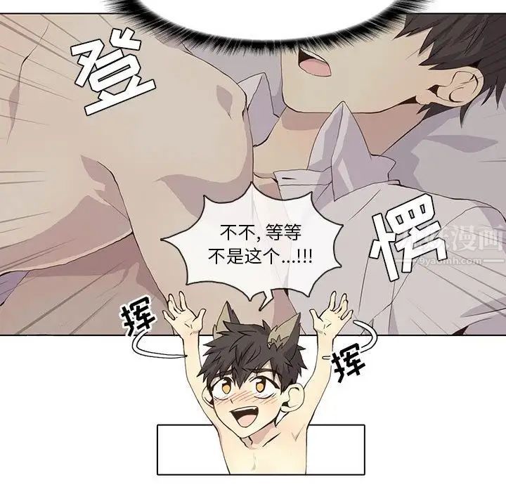 野性之城第38章