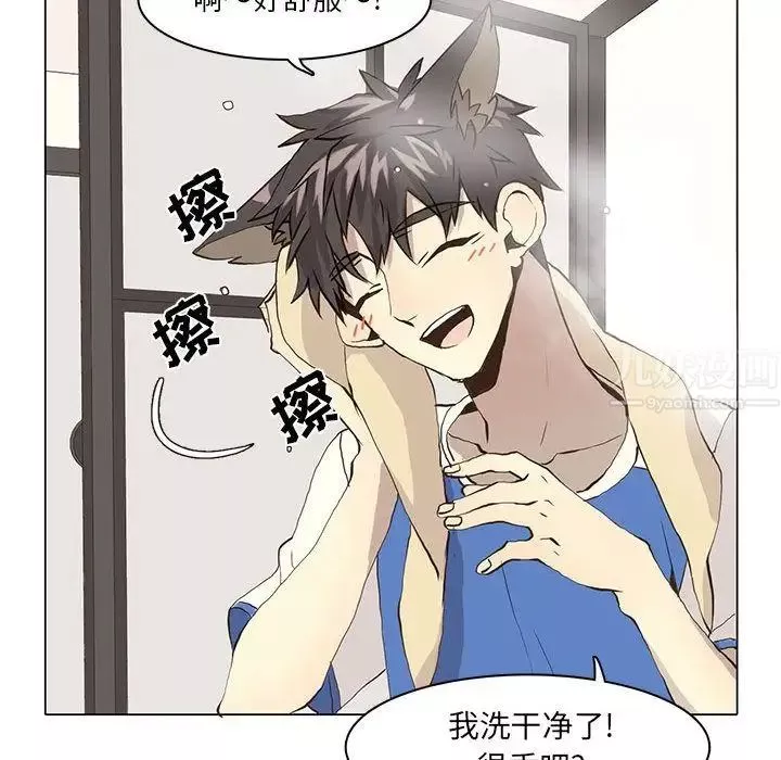 野性之城第38章