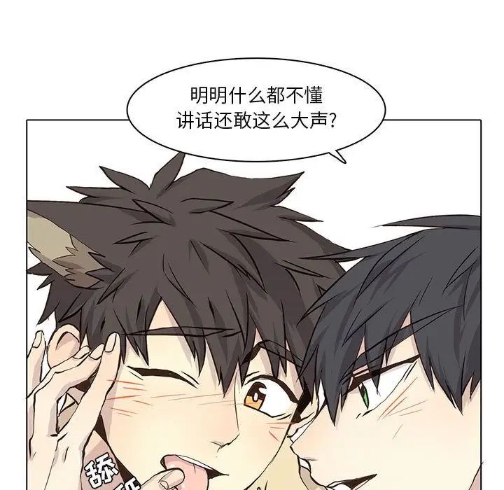 野性之城第39章