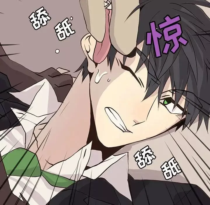 野性之城第41章