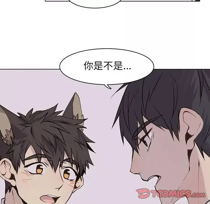 野性之城第42章