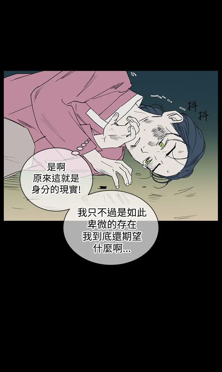 粉装娘第34话
