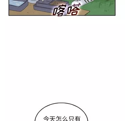 泰珠小姐的完美婚姻生活第43話
