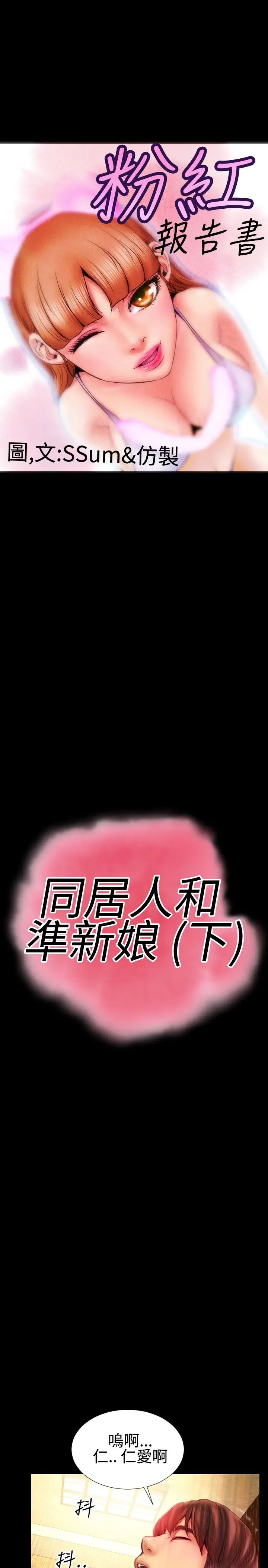 粉红报告书最终话-同居人和准新娘(上)