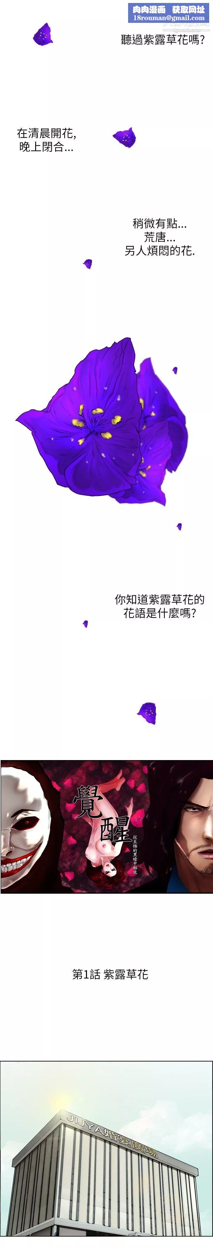 覺醒第1話-紫露草花