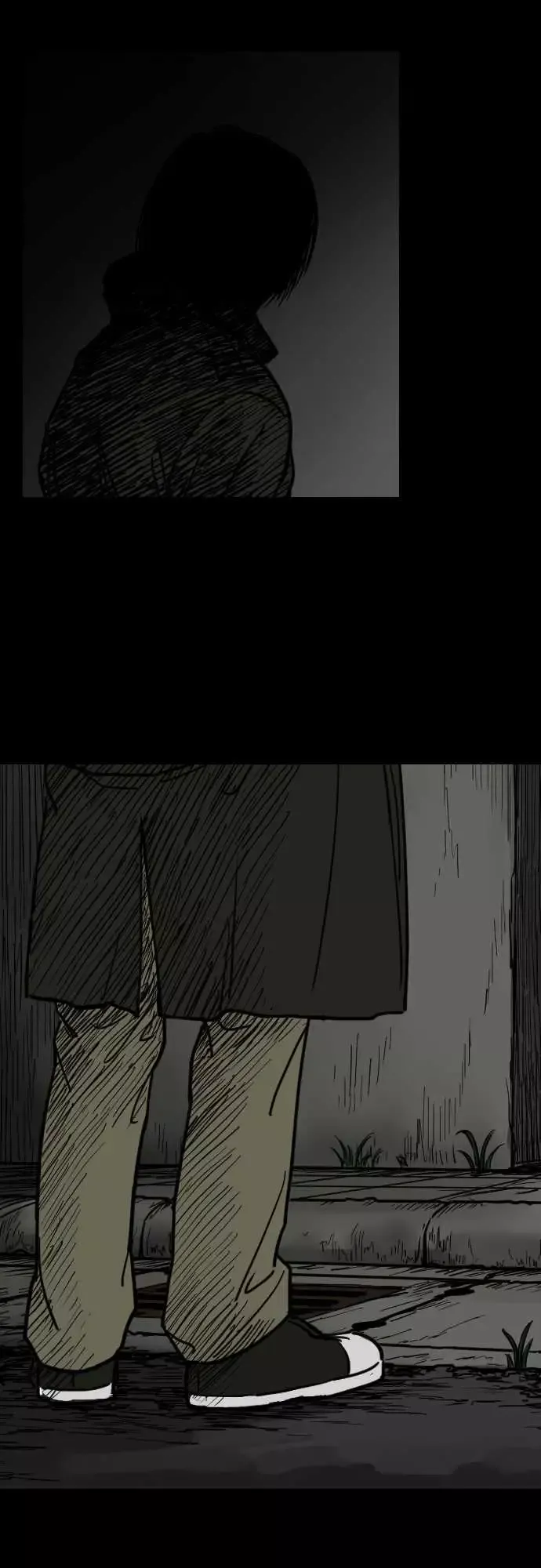 刺角第5回现踪