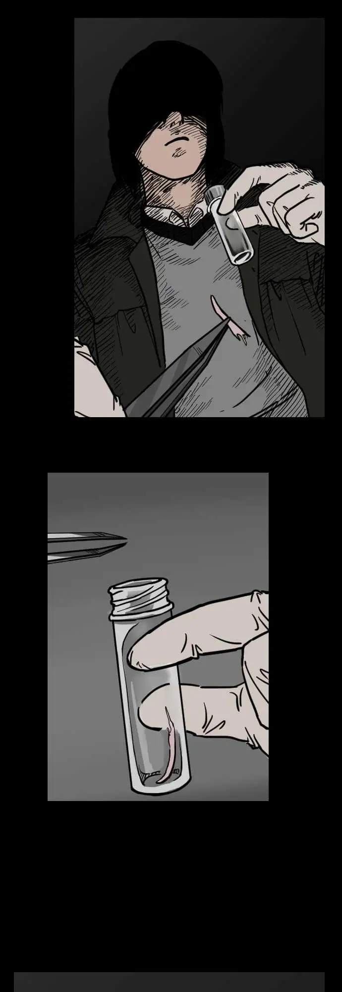 刺角第5回现踪