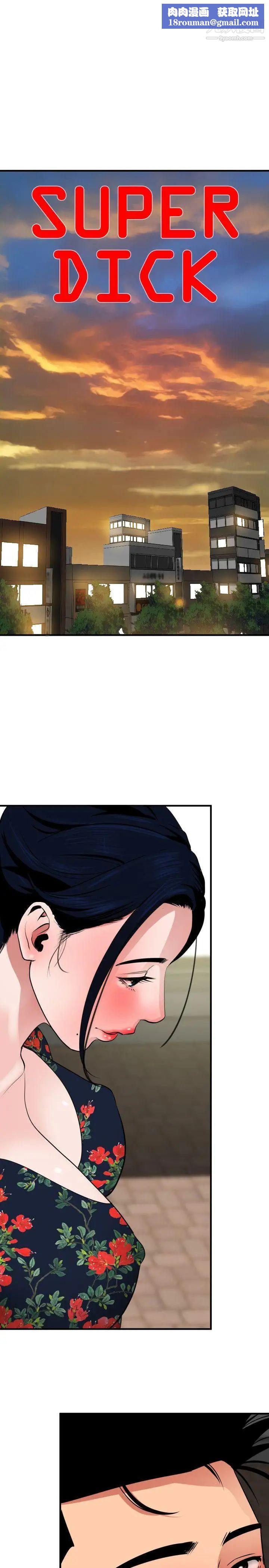 SuperDick第27話
