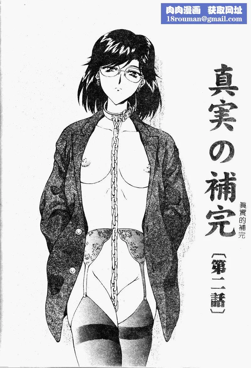 [向正義]真実の補完[中][向正義]真実の補完[中]