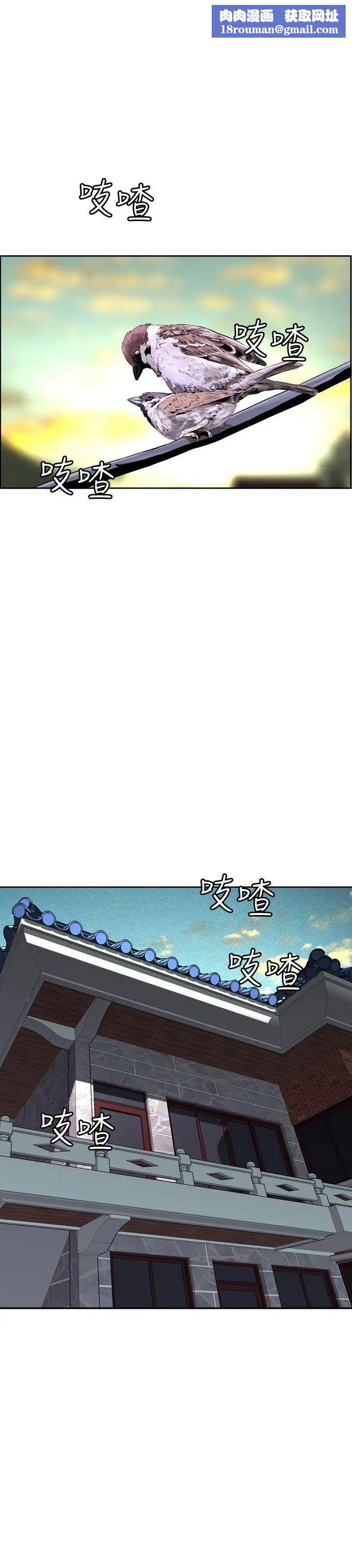 偷窥Preview