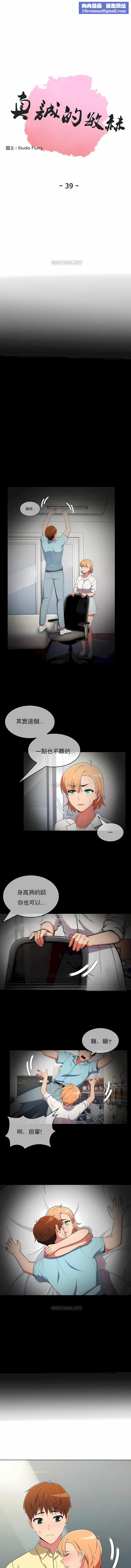 真誠的敏赫第39話