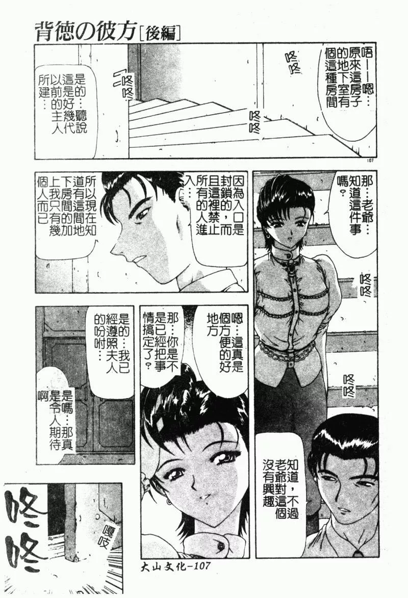 [向正義]背徳の彼方[中][向正義]背徳の彼方[中]