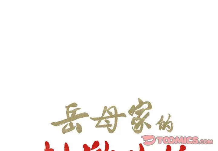 岳母家的刺激生活第45话