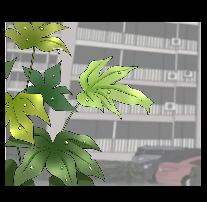 邻居第38话