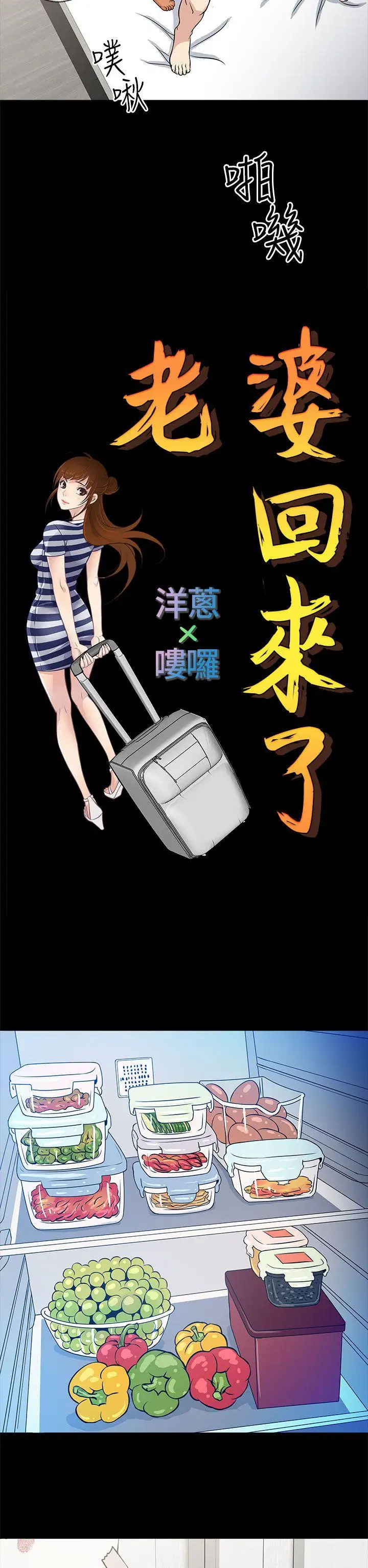 老婆回来了第14话