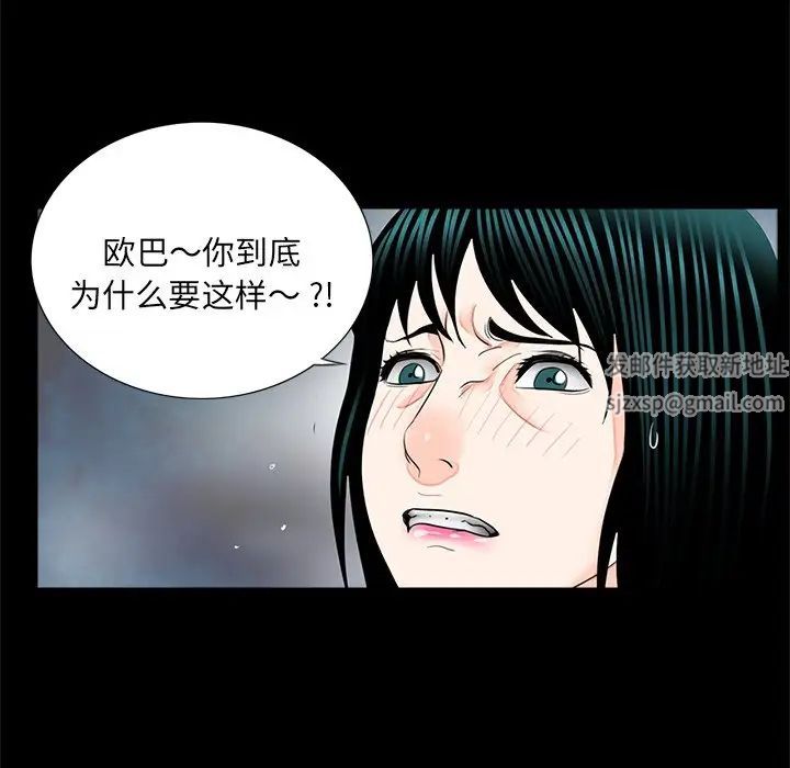 借子第13话