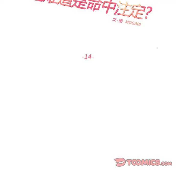 这难道是命中注定第14话