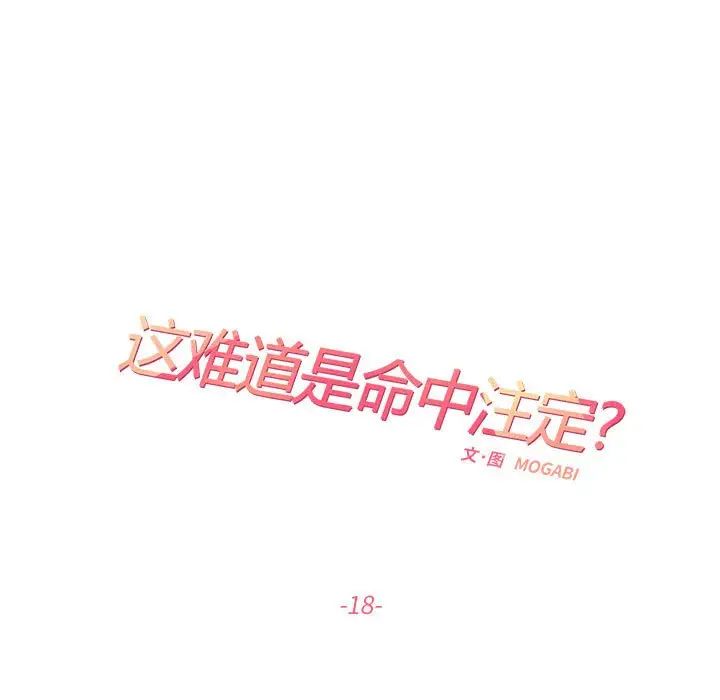 这难道是命中注定第18話