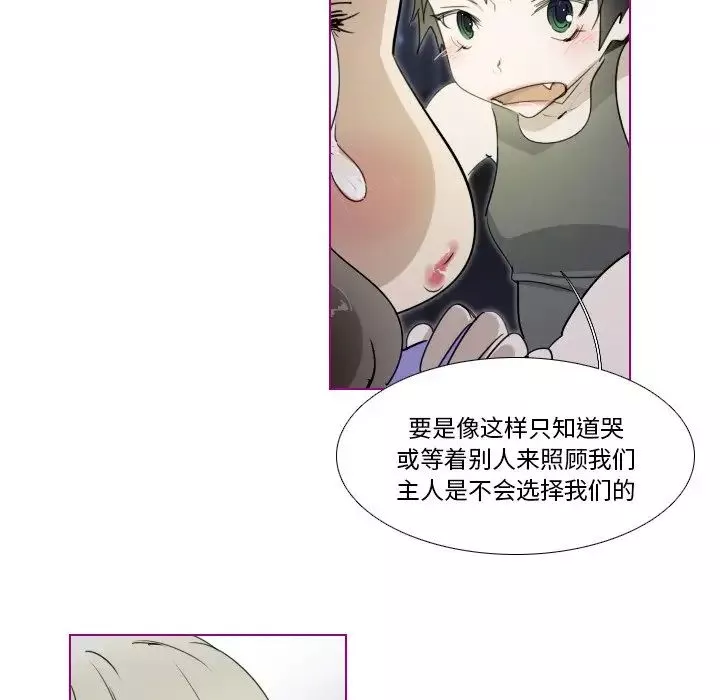 我的貓狗女友第14话