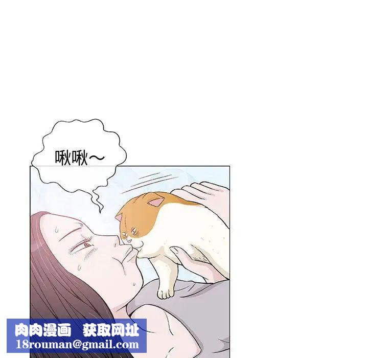 奇趣新人第6话