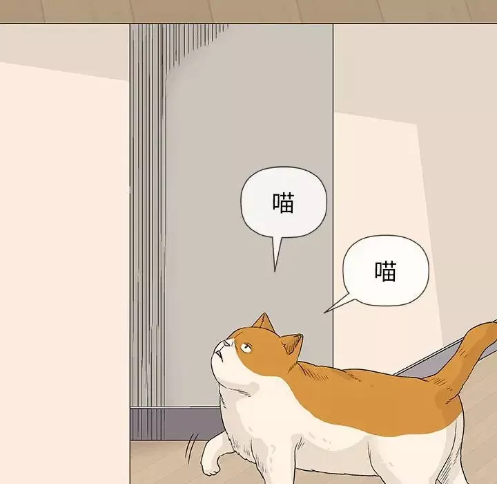奇趣新人第26話