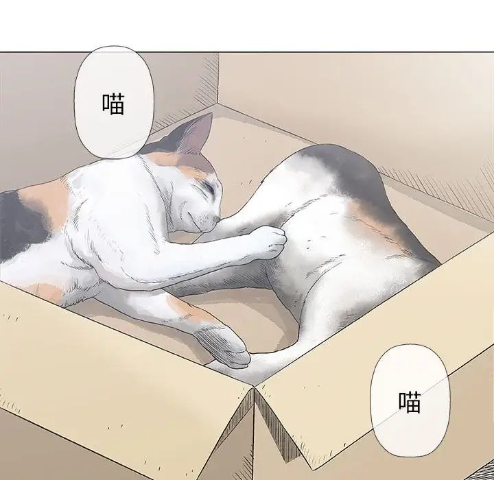 奇趣新人第28話